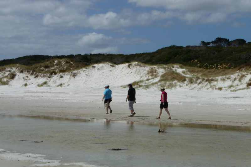 Nieuw-Zeeland 2011 - 0312